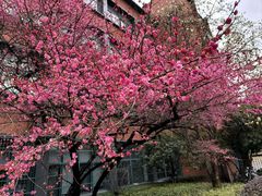 -浙江大学(玉泉校区)