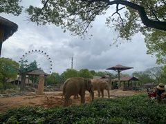 -上海野生动物园