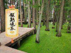 -东湖落雁景区