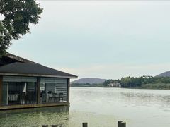 -长广溪湿地公园