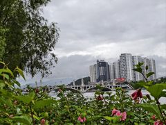 -兴盛大桥