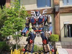 -南宫五洲植物乐园