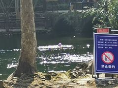 -阿哈湖国家湿地公园