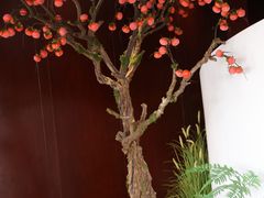 -古莲·影院足道·按摩SPA(水上温泉店)