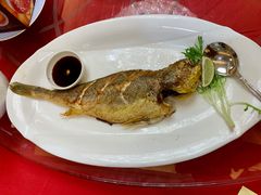 冰鲜黄花鱼-东江海鲜酒家(艺都分店)