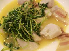 -锦堂中餐厅