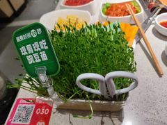 -海底捞大排档火锅(悦荟广场店)