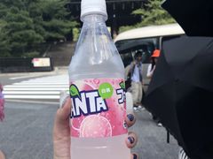 -有栖山 清光院 清水寺