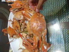 -老家黄墩小错鸡·活海鲜