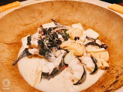-滇小鱼·云南野生菌火锅(上杭路店)