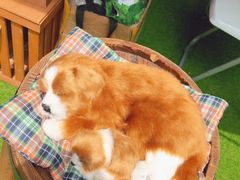 -江燕路万科里