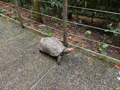 -河川生态园