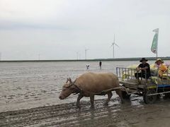 -小洋口旅游度假区