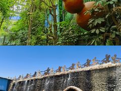 -呀路古热带植物园