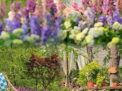 -武汉园博园(武汉自然博物馆)