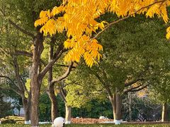 -浙江农林大学(东湖校区)