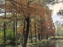 -洛阳市隋唐城遗址植物园