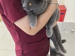 -美联众合动物医院·24h京西诊疗中心