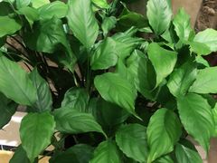 -金时代顺风大酒店(金山店)