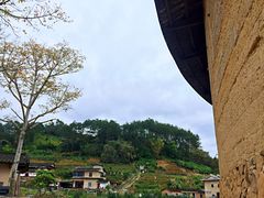 -福建土楼（华安）旅游区•大地土楼群