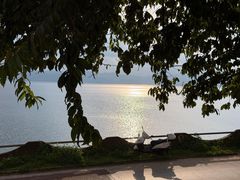 -湖景渔湾