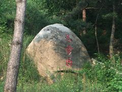 -鲁山国家森林公园