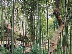 -成都杜甫草堂博物馆