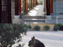 -高旻寺