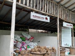 -大象粑粑造纸公园