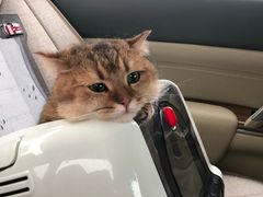 -纳吉亚猫专科动物医院博雅分院