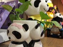 -熊猫屋(宽窄巷子景区店)