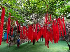 -呀路古热带植物园