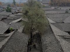 -中天楼
