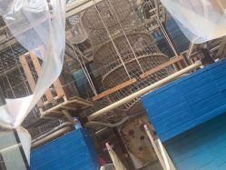 -PIPIKINGDOM皮皮王国欢乐号(欢乐海岸购物中心店)