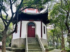 -上海佘山国家森林公园天马山园