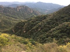 -大岭沟猕猴桃谷风景区