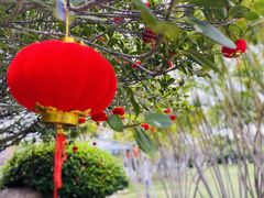-厦门园林博览苑