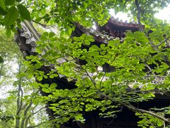 -天一阁博物院