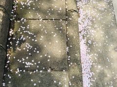 -南浦大桥长途旅游客运站