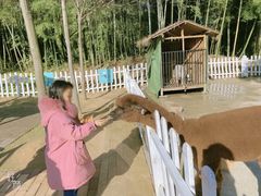 -天目湖涵田度假村