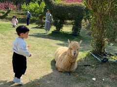 -泉州海丝野生动物世界