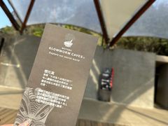 -怀托摩萤火虫洞