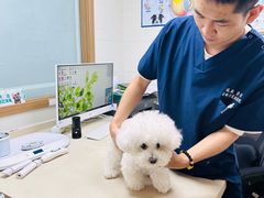 -爱侣·安琦尔宠物医院·中兽医针灸·心内科·狂犬免疫点(宝山区院)