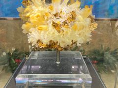 -湖南省地质博物馆