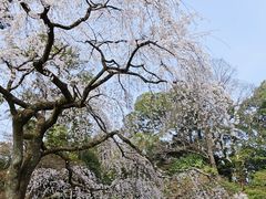 -京都御所