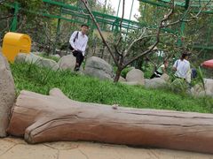 -北戴河集发农业梦想王国