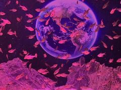 -正佳极地海洋世界