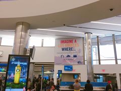 -约翰·菲茨杰拉德·肯尼迪国际机场