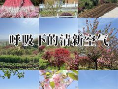 -四明山国家森林公园
