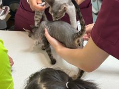 -中农大我爱我爱动物医院·核磁CT·猫病·24小时夜诊中心(石佛营店)